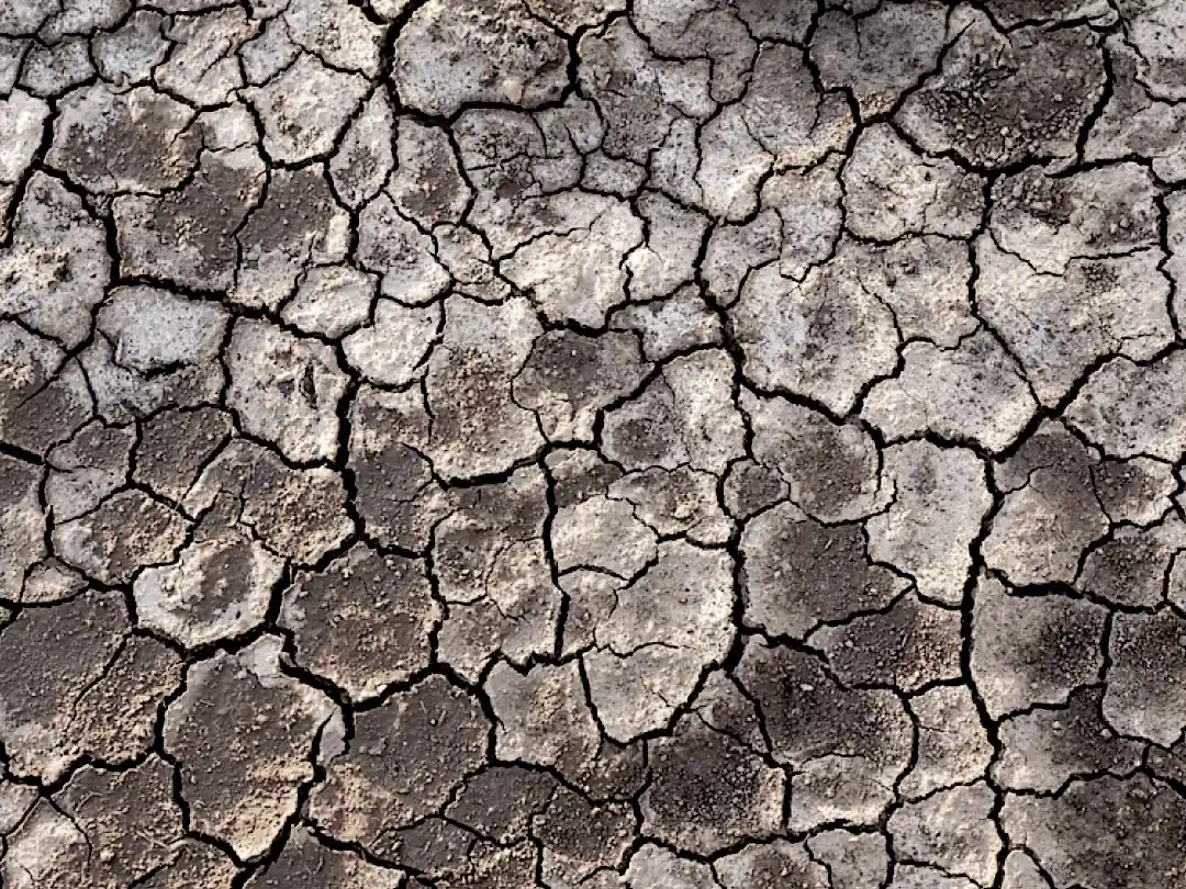 害虫（シロアリ）防除工事